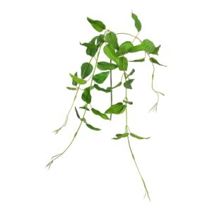 الفرع الشرقي لروسكوس