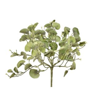 سيلفر فولز من بوش