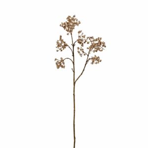 زهر شبام معدني