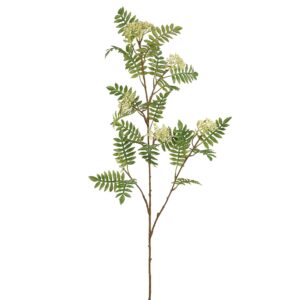 بخاخ سوربوس