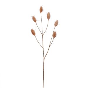 بخاخ ذيل الأرنب