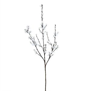 بخاخ فورسيثيا