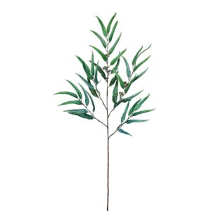 بخاخ الأوكالبتوس