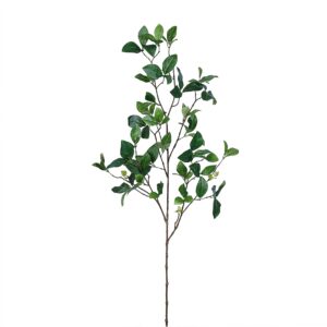 بخاخ أوراق إنكيانثوس