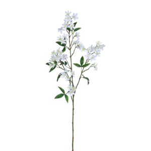 سيراتوبيتالوم (الاسم التجاري)