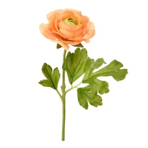 أفضل بديل مختصر وعام: "أحذية