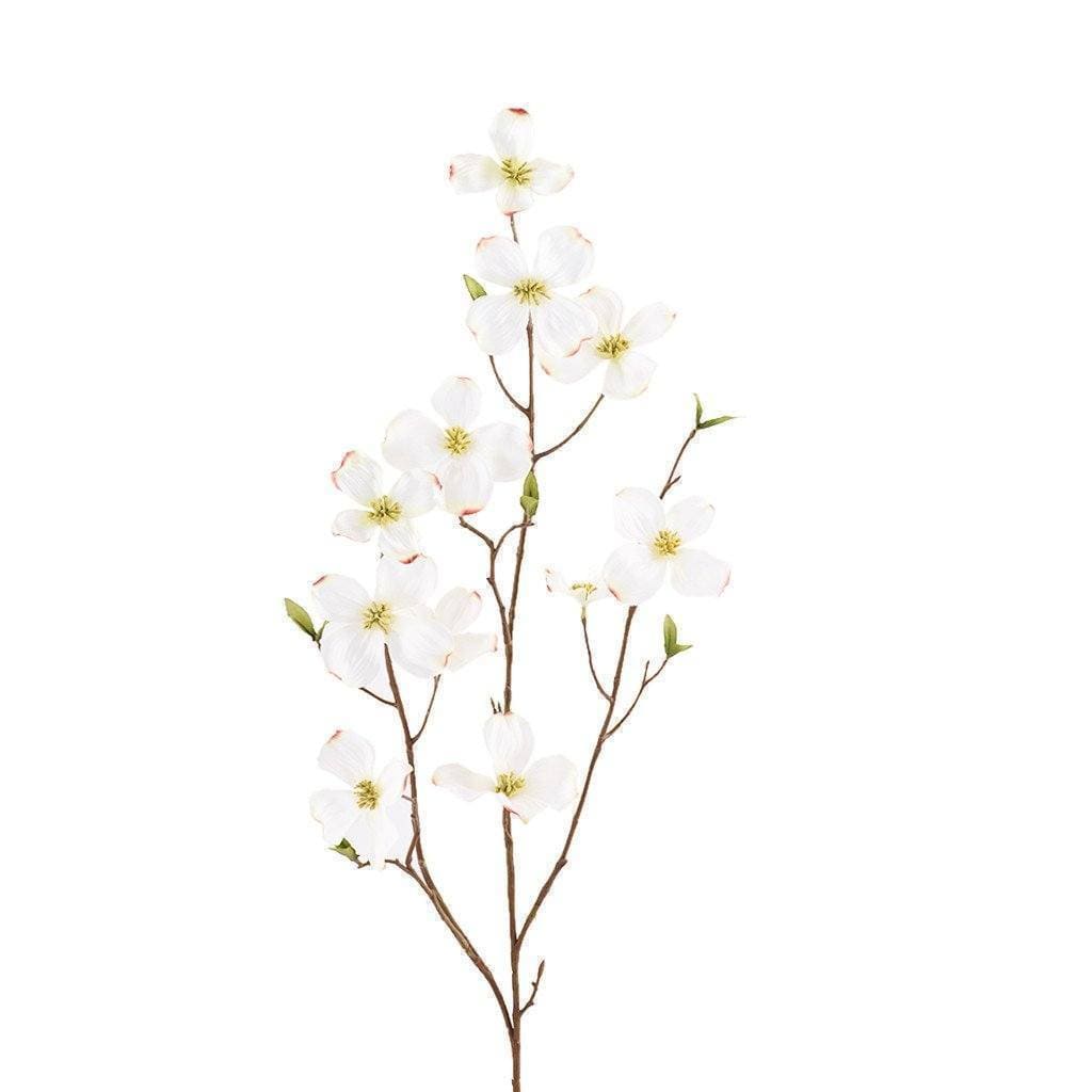 أزهار القرانيا — صيغة بسيطة ومباشرة (مناسبة للمتاجر)