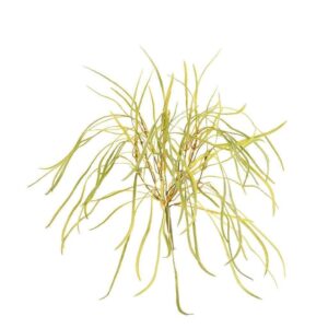 نجيلة للحدائق