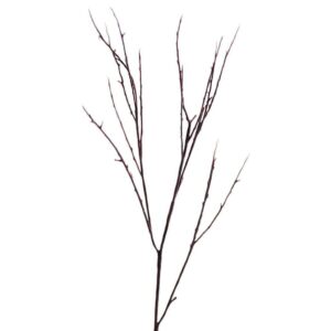 المكتب الفرعي