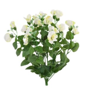 تورينيا (الأصلي)