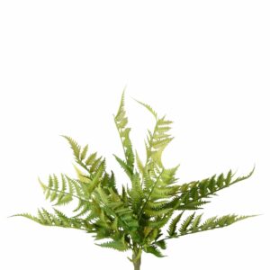 سرخس اصطناعي