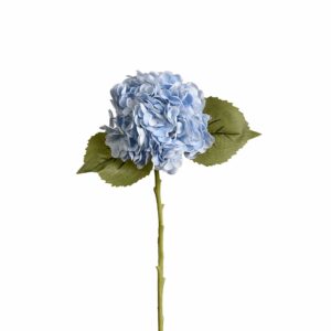 هدرانج الفاخر