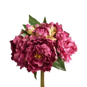 باقة فاوانيا مختلطة