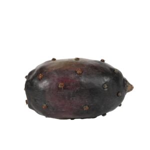 ثمرة الصبار