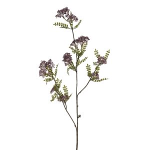 بخاخ باترينيا