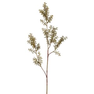 سيدوم الأصلي