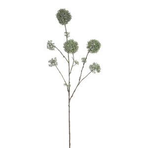 رذاذ سكيميا