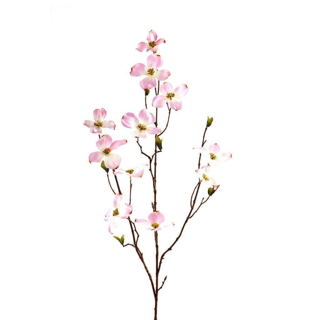 أزهار القرانيا — صيغة بسيطة ومباشرة (مناسبة للمتاجر)