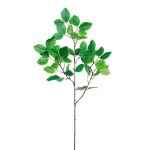 رذاذ من أوراق الزان