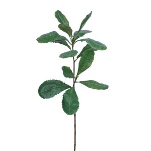 بخاخ أوراق البانكسيا