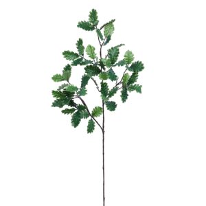 بخاخ أوراق البلوط الصغيرة