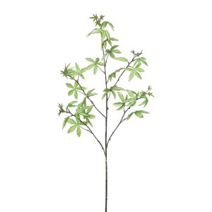 قسم القفزات