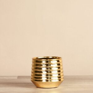 مزهرية من الزجاج