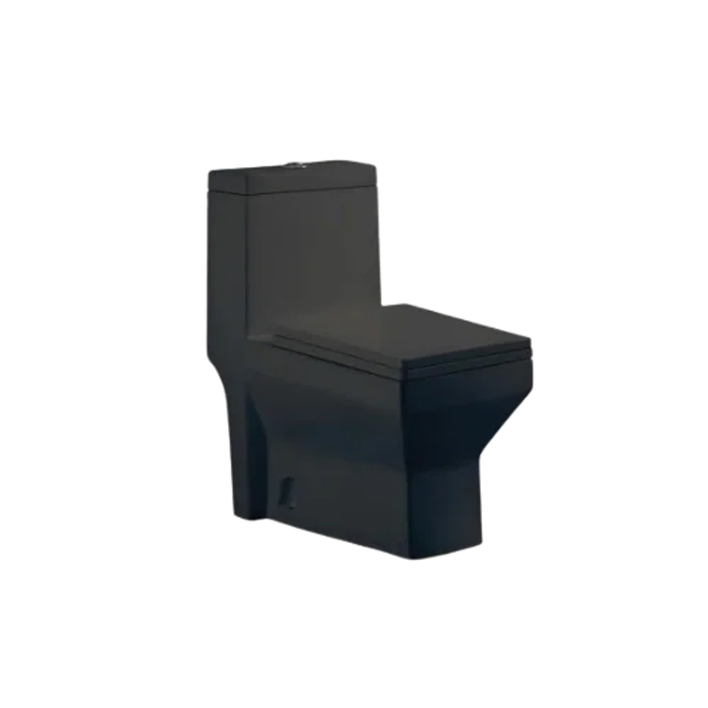 كرسي حمام أرضي بتصميم مربع - ستامينا (أسود مطفي)