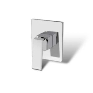 رأس دش مربع — خط واحد — تشطيب كروم (فضي) للاستخدام العام