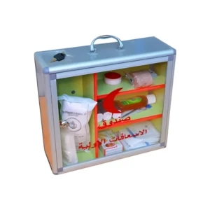 Medium-sized first aid kit for everyday use — organized interior compartments and a transparent front with a safety lock