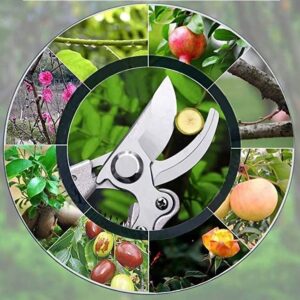 Tree pruning shears — Made in Japan