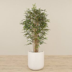 شجرة خيزران صناعية بارتفاع 180 سم