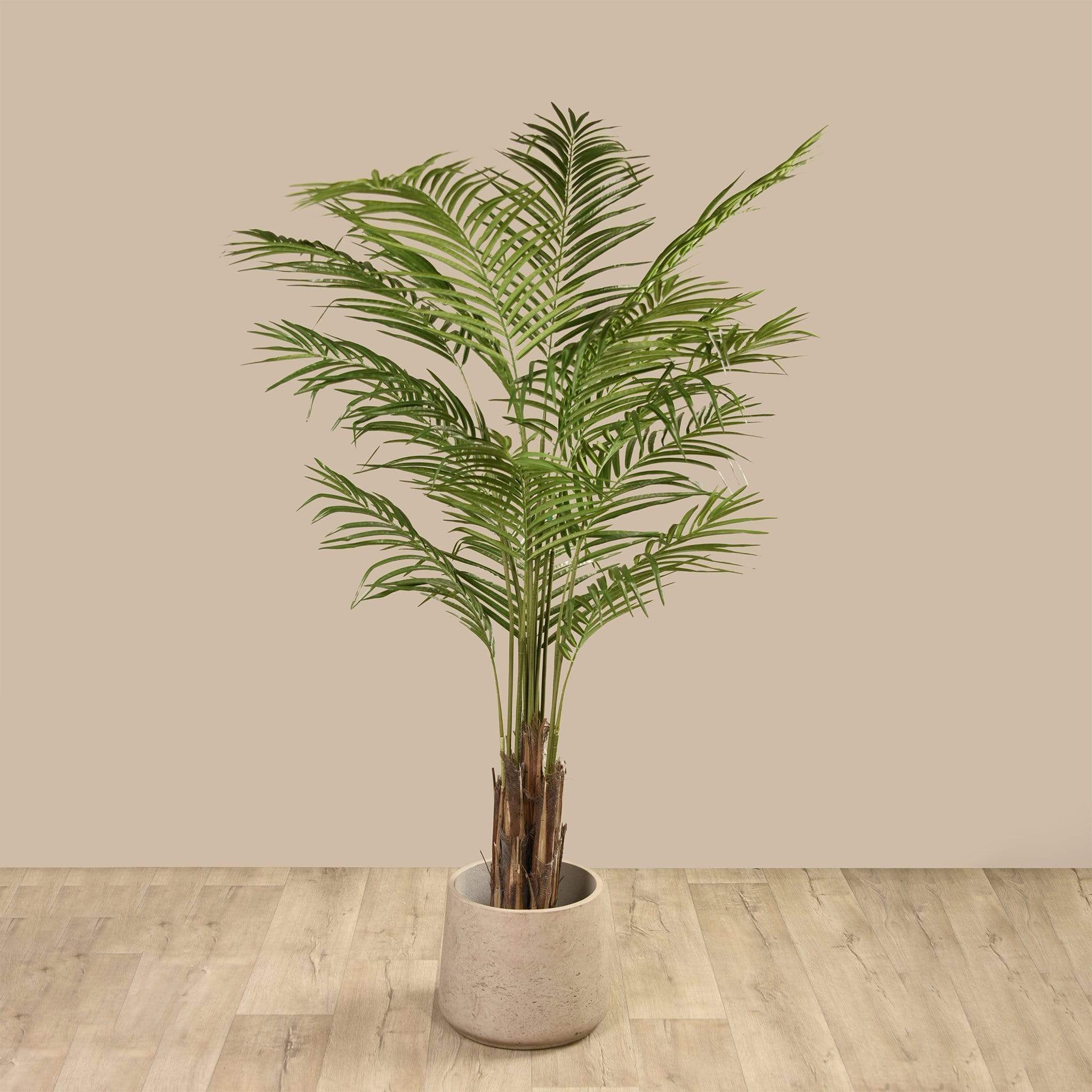 نخلة أريكا صناعية ارتفاع 180 سم