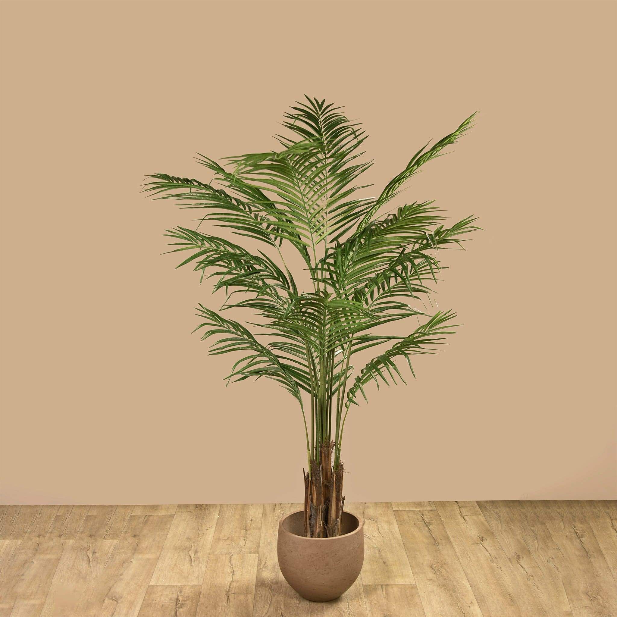 نخلة أريكا صناعية ارتفاع 180 سم