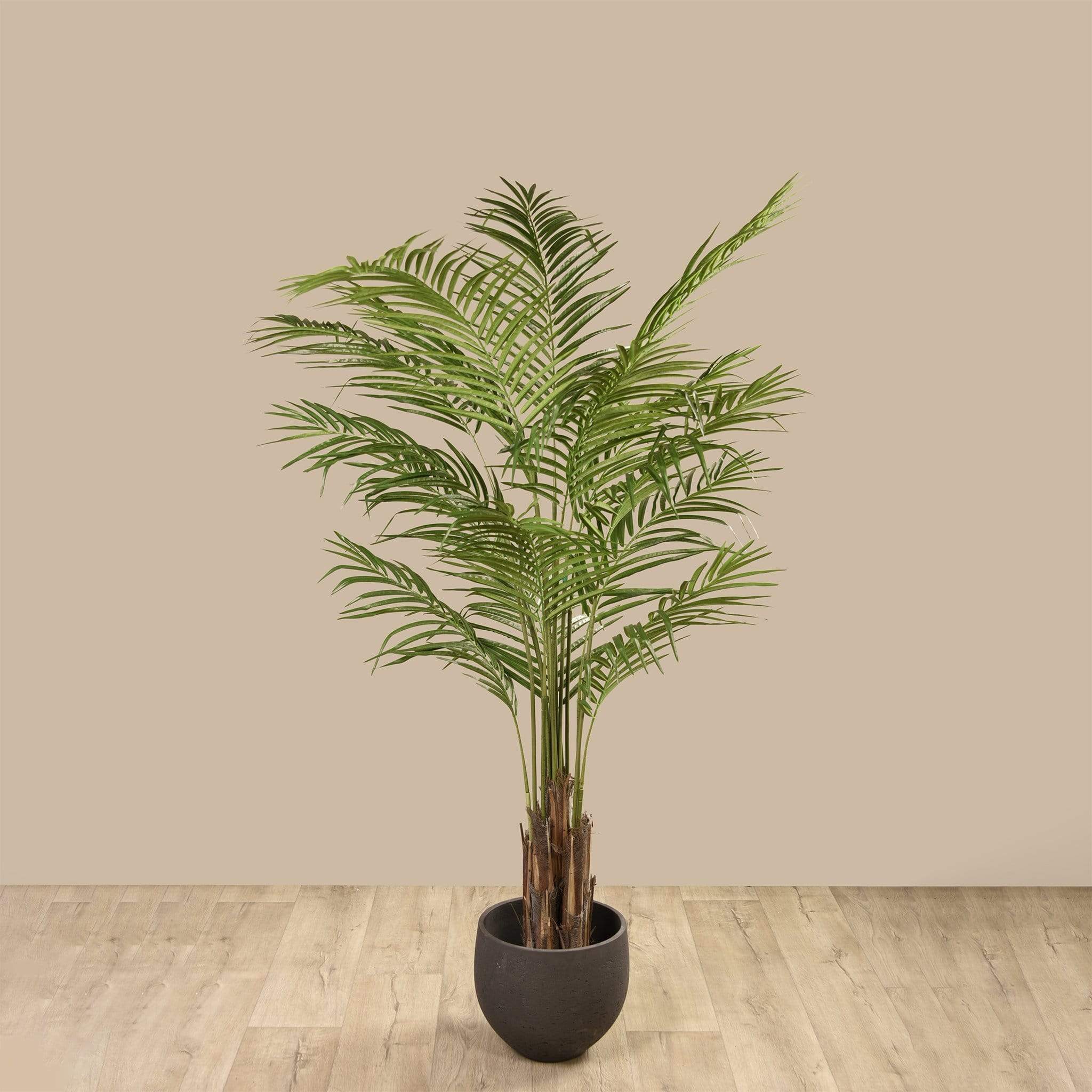 نخلة أريكا صناعية ارتفاع 180 سم