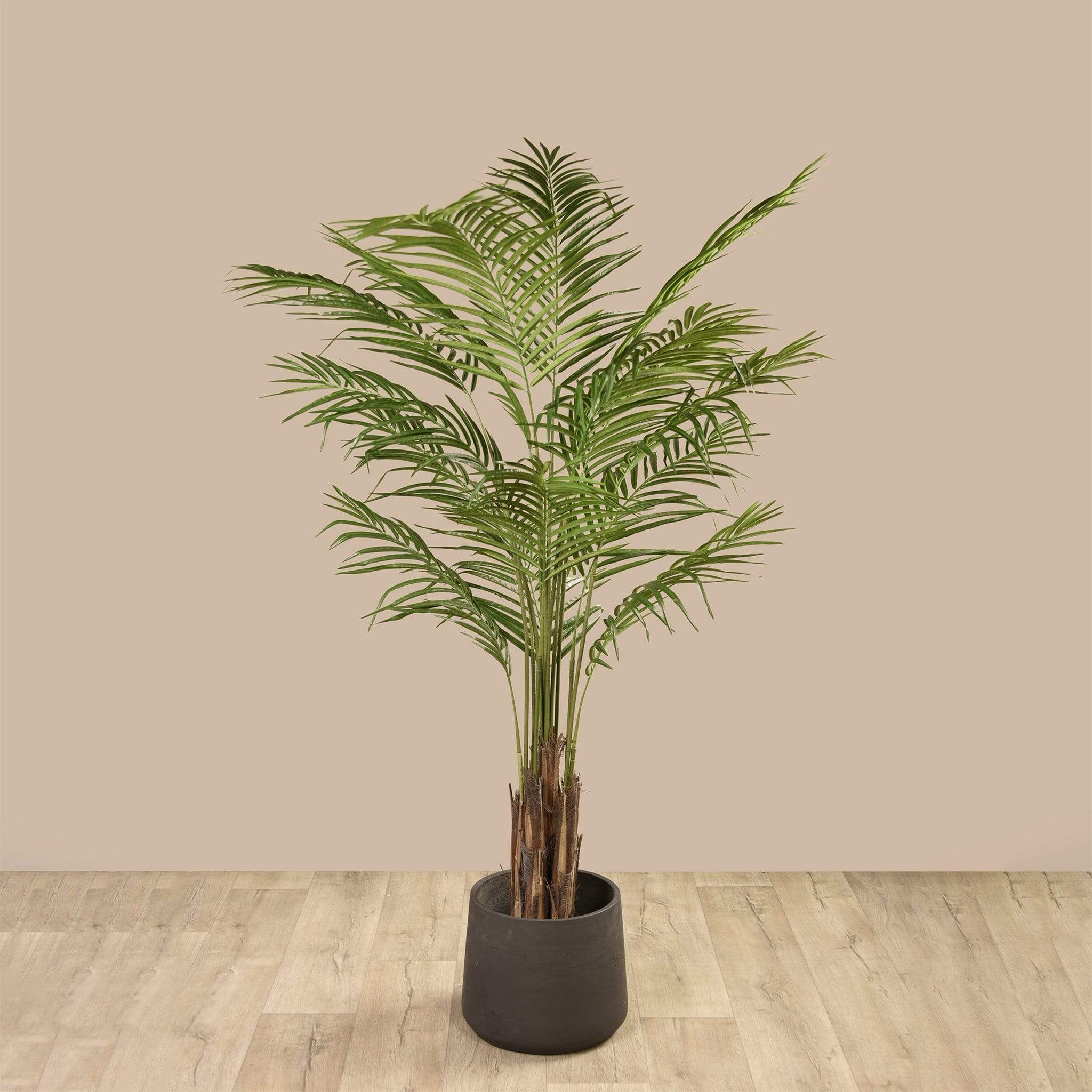 نخلة أريكا صناعية ارتفاع 180 سم