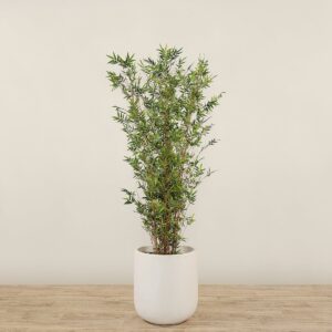 شجرة خيزران صناعية ارتفاع 180 سم