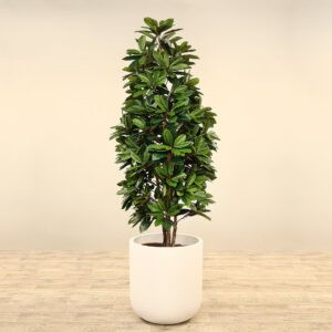 شجرة شيفليرا صناعية ارتفاع 180 سم