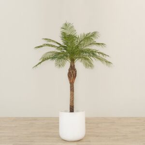 نخلة فينيكس اصطناعية بارتفاع 180 سم