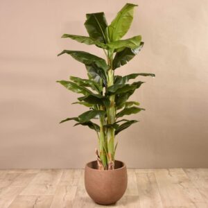 شجرة موز اصطناعية بارتفاع 180 سم