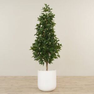 شجرة غار صناعية بارتفاع 180 سم