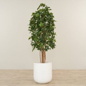 شجرة شيفليرا صناعية بارتفاع 180 سم