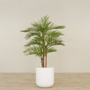 نخلة أريكا صناعية ارتفاع 180 سم