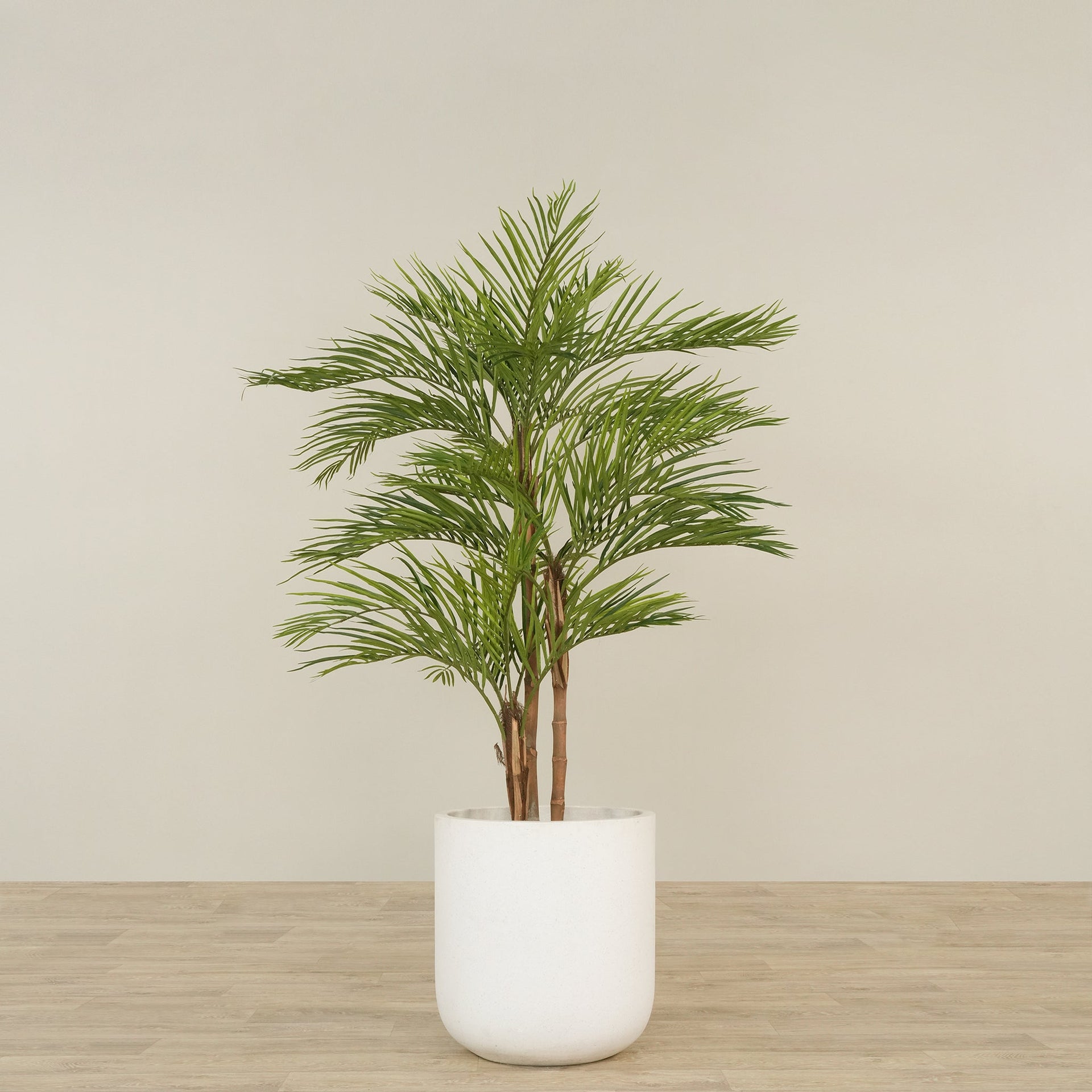 نخلة أريكا صناعية ارتفاع 180 سم