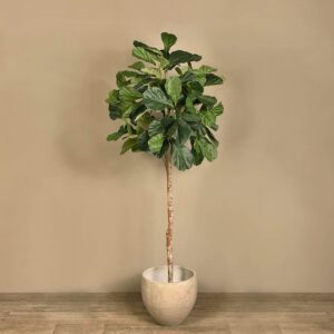 شجرة فيدل ليف صناعية ارتفاع 180 سم