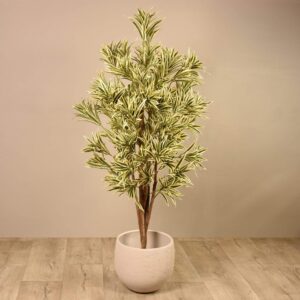 دراسينا هندية اصطناعية بارتفاع 180 سم