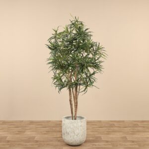 دراسينا هندية صناعية بارتفاع 180 سم