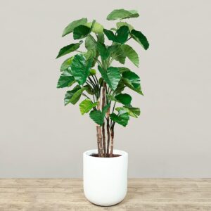 نبتة ألوكاسيا صناعية بارتفاع 185 سم