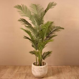 نخلة أريكا اصطناعية بارتفاع 185 سم