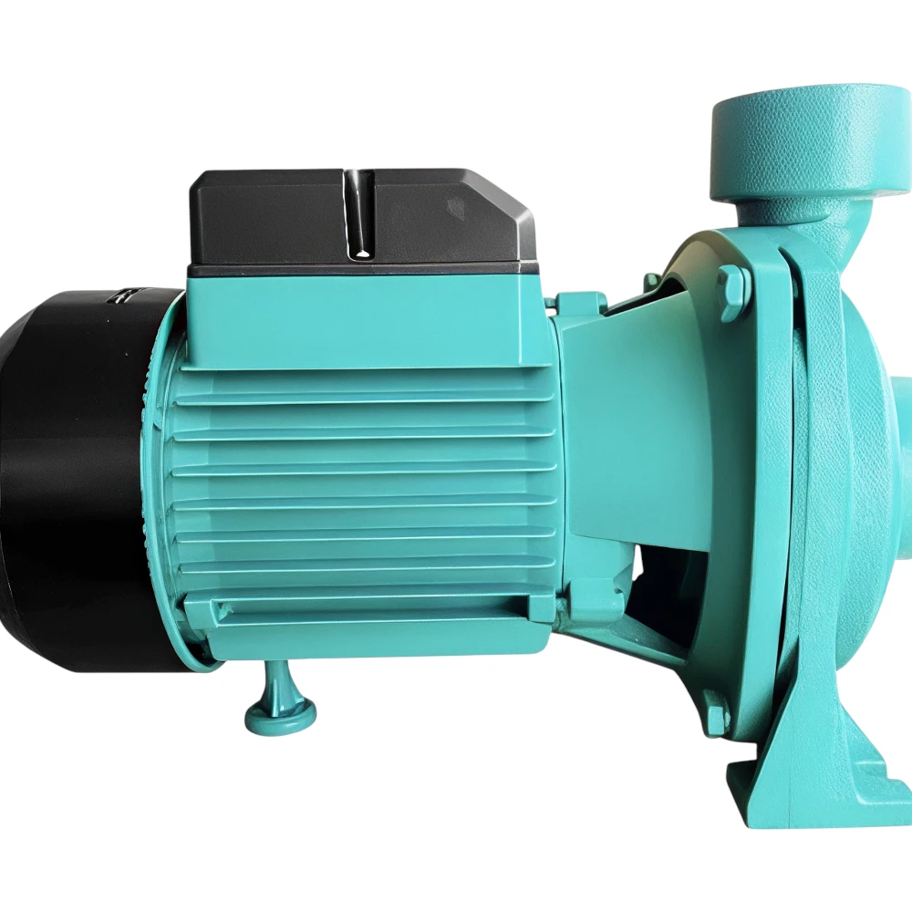 مضخة مياه سطحية شيمج 2 حصان للاستخدام الزراعي — مخرج 2 بوصة وارتفاع 22 متر